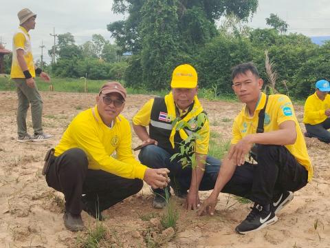 โครงการส่งเสริมการปลูกต้นไม้