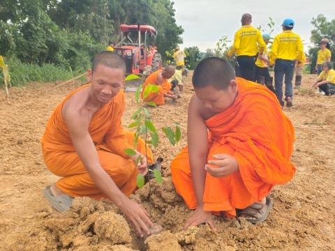 โครงการส่งเสริมการปลูกต้นไม้