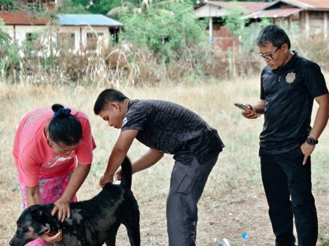 โครงการฉีดวัคซีนป้องกันโรคพิษสุนัขบ้าประจำปี 2569