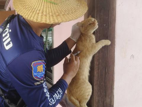 โครงการฉีดวัคซีนป้องกันโรคพิษสุนัขบ้าประจำปี 2569